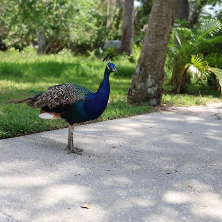 サラソータ Key West Style-Livin'ヴィラ エクステリア 写真